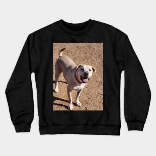 Happy Puppy Crewneck Sweatshirt